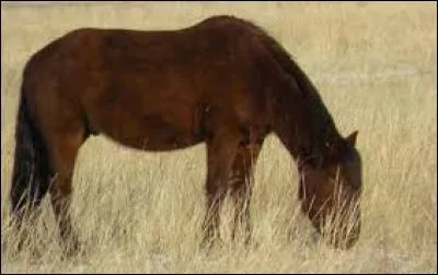 En s'aidant de la question précédente, on peut déduire que :