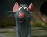 Rmi, dans le film 'Ratatouille' est un...
