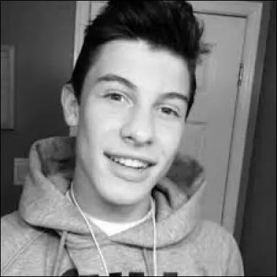 De quelle artiste a-t-il fait la première partie d'un concert ?