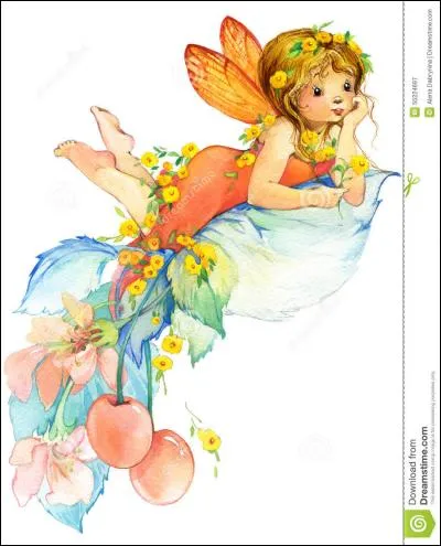 La région fé... est située entre la hanche et le genou :