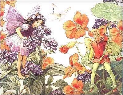 Terme de marine. Petit voilier méditerranéen léger, étroit et long :