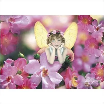 Qualifie un animal domestique retourné à l'état sauvage :