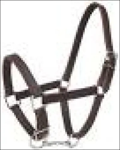 Comment cela s'appelle-t-il ?