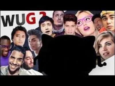 Ont-ils tous une chaîne individuellement ?