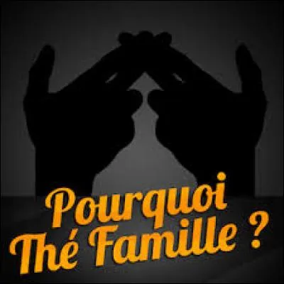 Comment s'appelle le rassemblement où il y a eu tous les youtubeurs de France, et où tous les youtubeurs ont pu rencontrer leurs fans ?