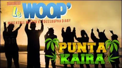 Quels sont leurs types de vidéos ?