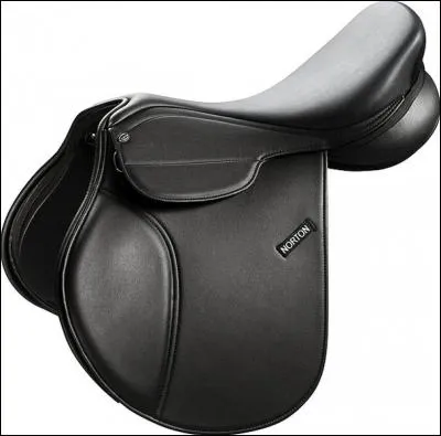 Quel est le mot qu'on dit pour savoir quelle selle nous va ?