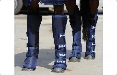 A quoi servent ces protections ?