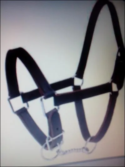 Avec quel objet va-t-on chercher un cheval au pré ?