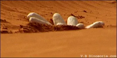 En faisant cela que démontrent les dinosaures à leur femelle ?