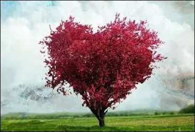 Qui a chanté "Mais si tu crois un jour que tu m'aimes, ne crois pas que tes souvenirs me gênent" ?