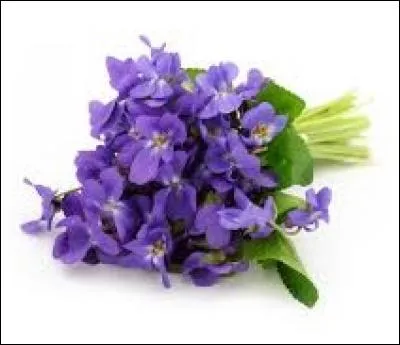 Qui a chanté "L'amour est un bouquet de violettes" ?