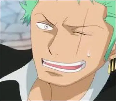 Qu'est-ce qui faire rire Zoro dans l'arc Dressrosa ?