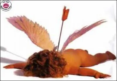 Quel groupe a chanté "Les histoires d'amour finissent mal en général" ?