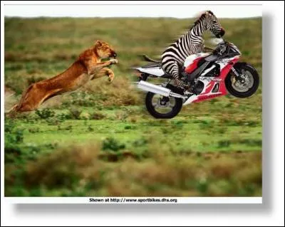 Depuis les année 2000, avec quels outils sont faites les retouches photos ?