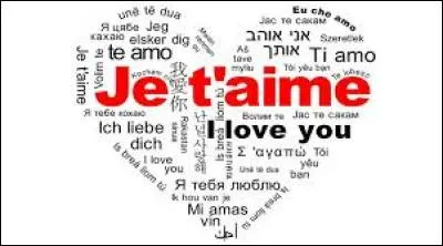 "Je sais bien que je l'ai trop dit, mais je te le dis quand même... Je t'aime" sont des paroles de...