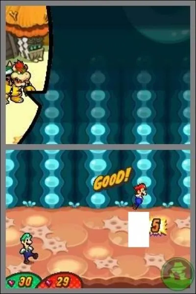 Qui les frères Mario attaquent-ils ?