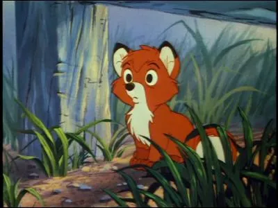 Quel est le nom du renard dans 'Rox et Rouky' ?