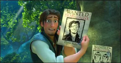 Quel est le vrai nom de Flynn Rider ?
