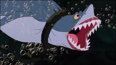 Comment s'appelle ce requin ?