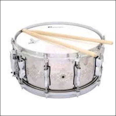 Quel est le nom de cet instrument ?