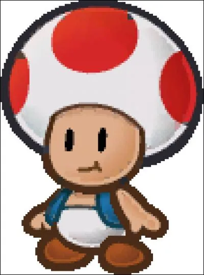 Combien de Toad voit-on dans le jeu ?