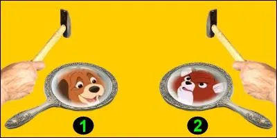 Si je vous dis "Rouky". Quel miroir allez-vous briser ?