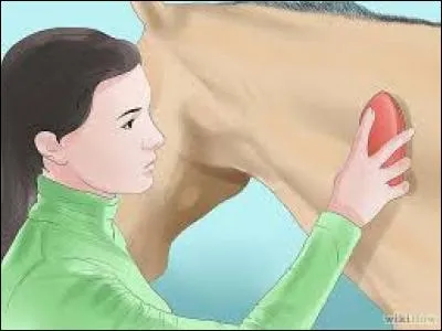 Que faut-il mettre d'abord ?