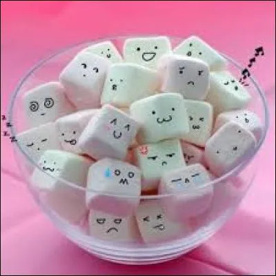 Comment appelle-t-on ces bonbons ?