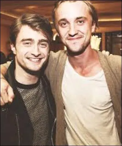 Tom Felton et Daniel Radcliffe adorent regarder "Les Simpson".