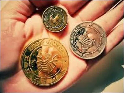 Un Gallion vaut environ 8 euros.
