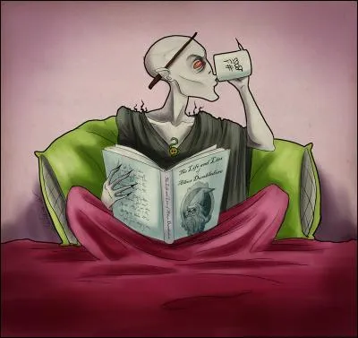 Quel est le statut du sang de Voldemort ?