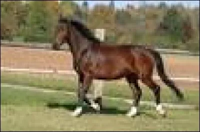 Pour desseller, je commence par...