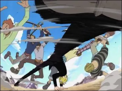 Cette technique utilisée par Sanji a pour caractéristiques :