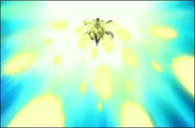 Cette technique utilisée par Kizaru a pour caractéristiques :