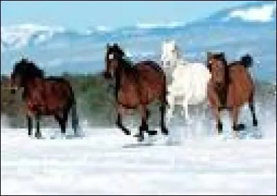 Qu'est-ce qu'une transition montante ?