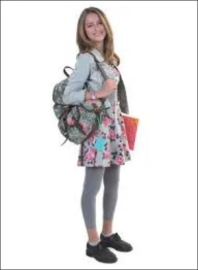 Qui a commencé à écrire la chanson ?