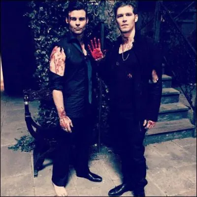 Pourquoi Klaus et Elijah se sont-ils battus ?