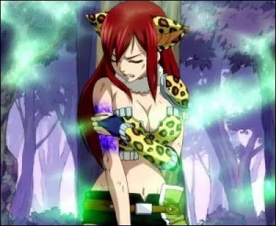 Quelle est cette armure ?