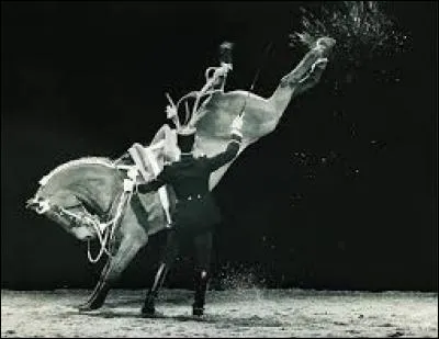 Quels sont les mouvements sur place ?
(1 réponse attendue)