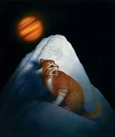 Avec qui Plume de Fauve a-t-elle eu des petits ?