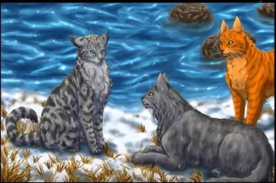 Comment s'appelaient les enfants de Plume Grise ?