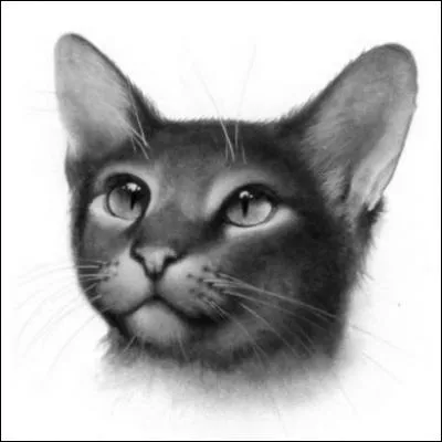 Qui est la mère de Plume de Jais ?