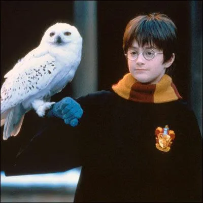 Comment la chouette d'Harry Potter s'appelle-t-elle ?
