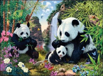 Que signifie le nom du panda géant en chinois ?