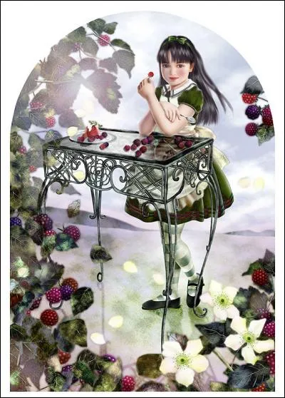 De quelle famille est le framboisier ?