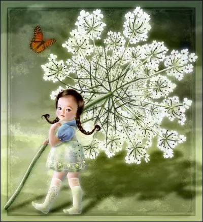 Quelle est la propriété de cette plante ?