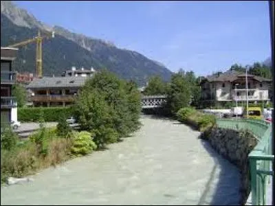 L'Arve est une rivière qui prend sa source au pied du mont Blanc. Où rejoint-elle le Rhône ?