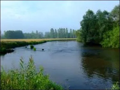 Née dans les Vosges, la Meurthe a été progressivement canalisée pour éviter les inondations. Dans quel cours d'eau se jette-t-elle ?
