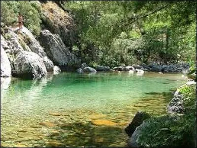 Où le Tavignano (Haute-Corse) prend-il sa source avant de rejoindre la Restonica près de Corte ?